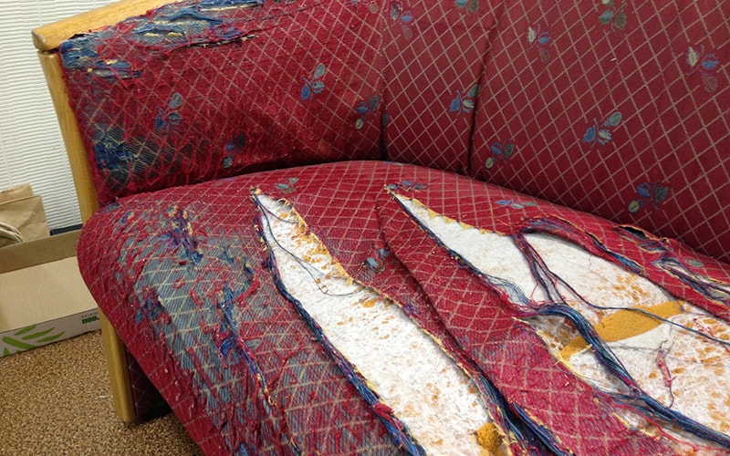 20160502 sofa before_2